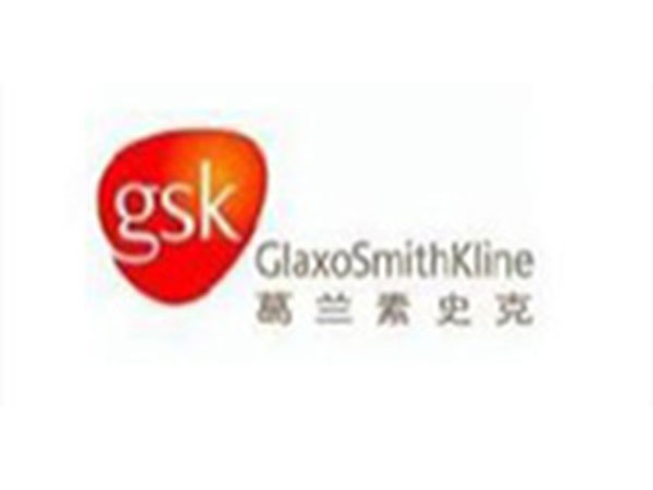 合（hé）作夥伴